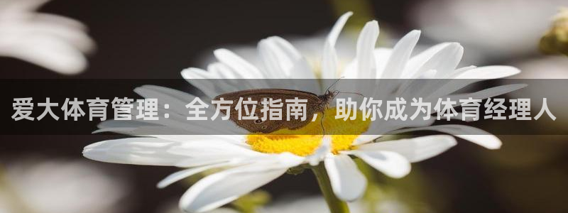 必一体育登录APP下载