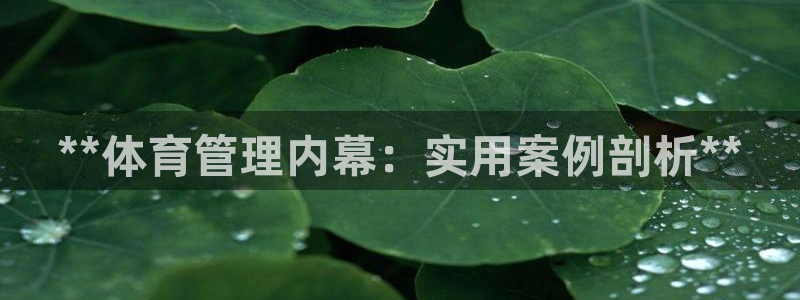 必一体育怎么下载
