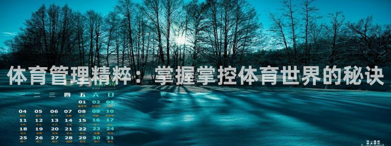 必一体育官网网址