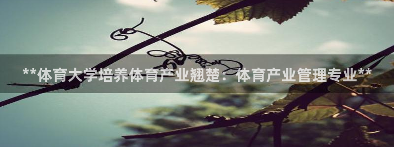 必一体育下载移动版：