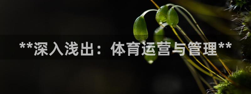 必一体育sport官方网站