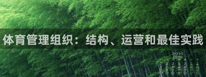 必一体育运动平台官网
