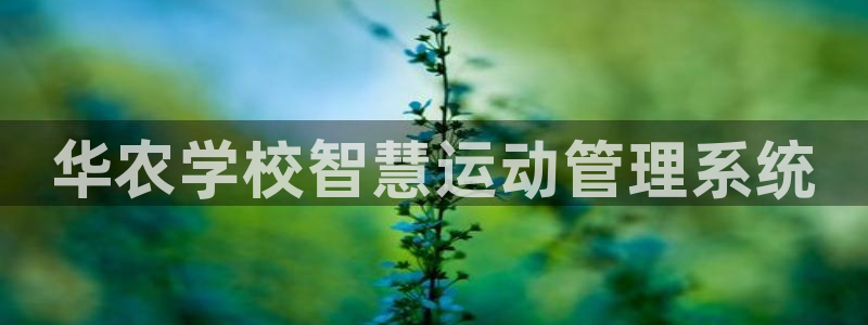 必一体育下载一样吗：