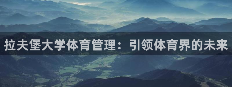 必一运动 b 体育素描版