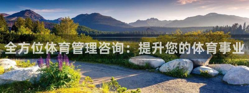 必一体育官网app