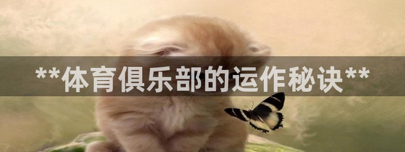 必一体育在线登录