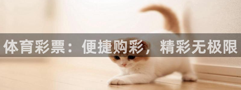 必一体育官网ios下
