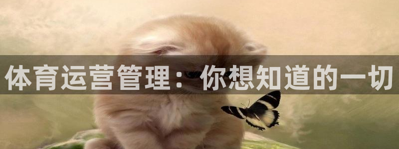 必一体育下载意思：体