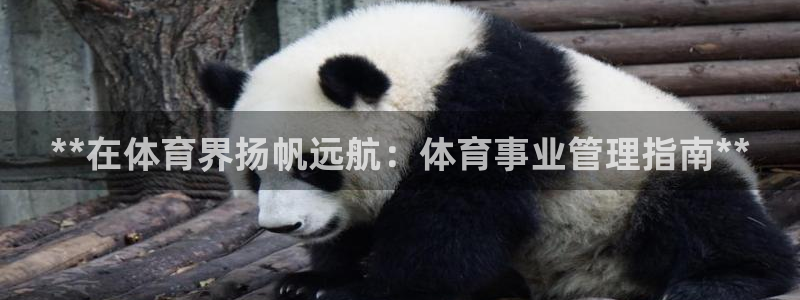 必一运动短信：**在