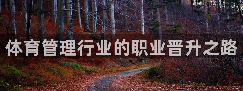 必一体育下载入口