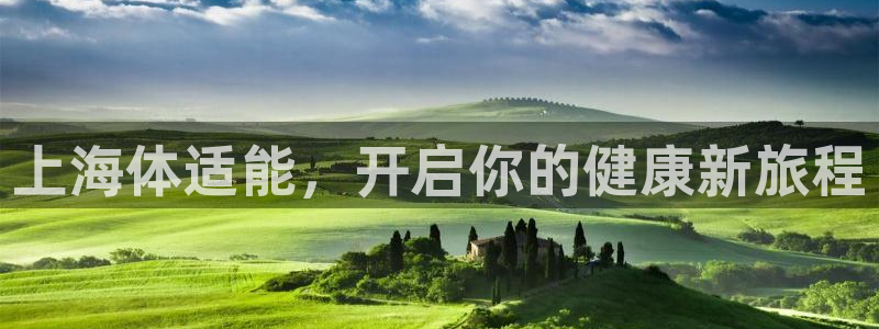 必一体育登入