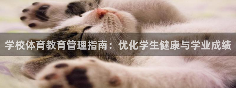 必一运动sport爱