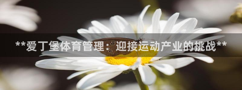 必一运动：**爱丁堡