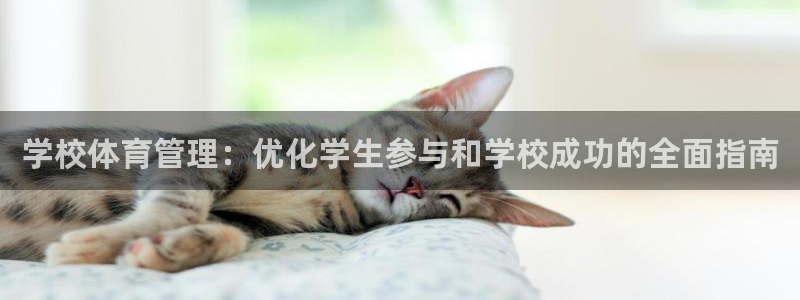 必一体育app官方正