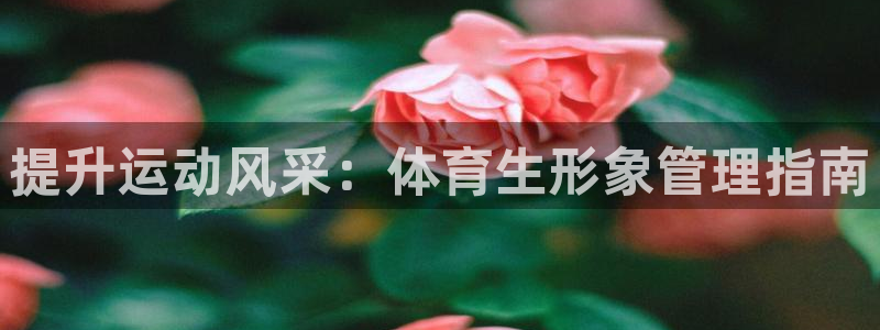 必一运动验证码