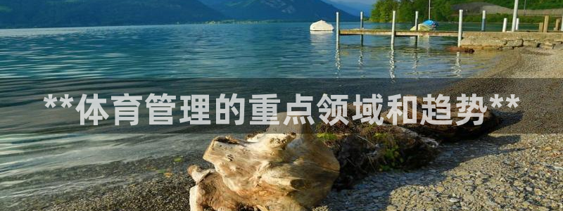 必一体育黑平台