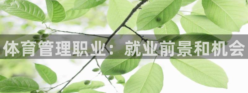 必一体育运动app下