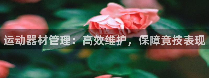 必一体育下载义：运动