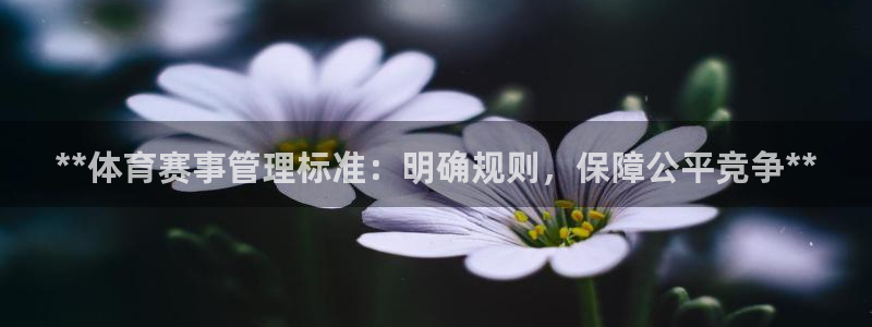 必一运动·(B-Sp
