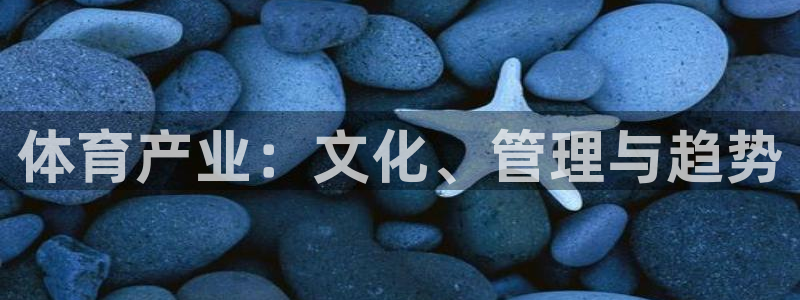 必一体育在哪下：体育