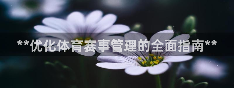 必一体育运动下载：*