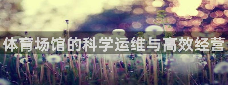 必一体育在线登录
