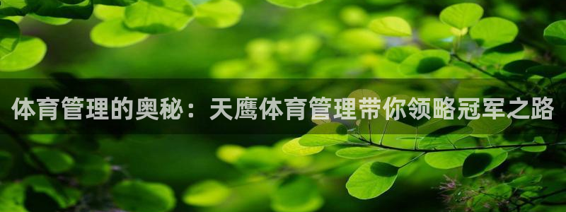 必一体育下载一样吗