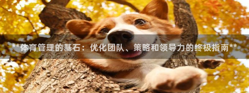 必一体育平台：**体