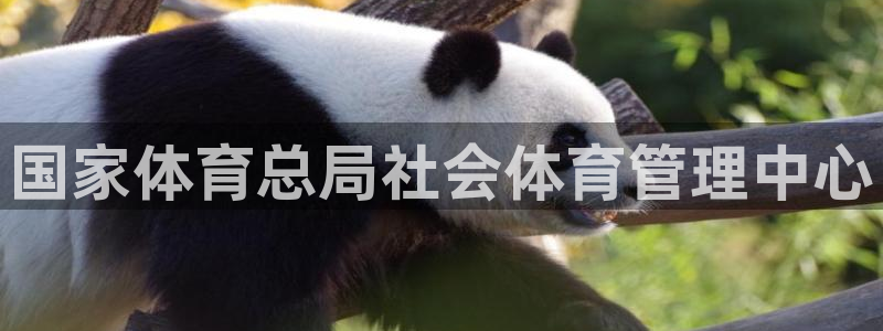 必一体育验证码
