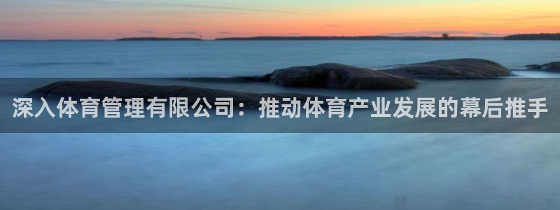 必一运动体