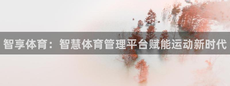 必一体育sport官网