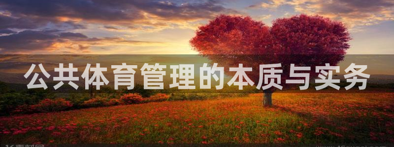 必一运动sport爱查股