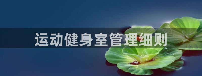 必一体育官方下载