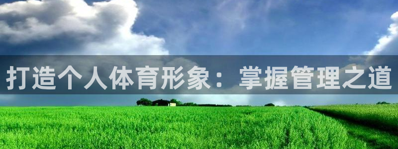 必一体育官网入口
