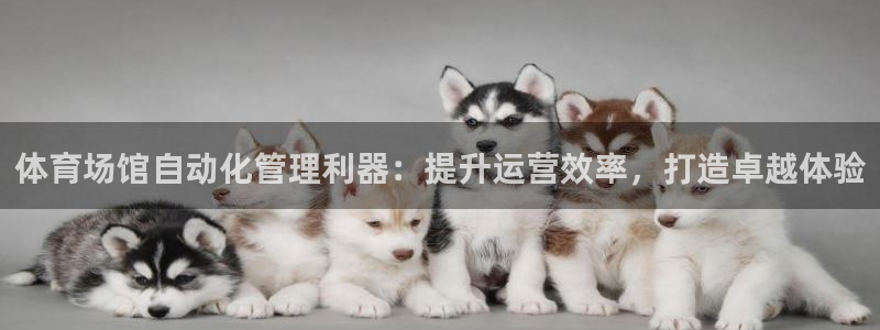 必一体育在线玩