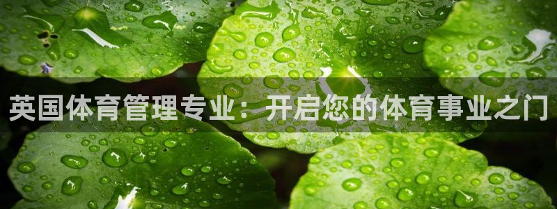 必一体育游戏玩法