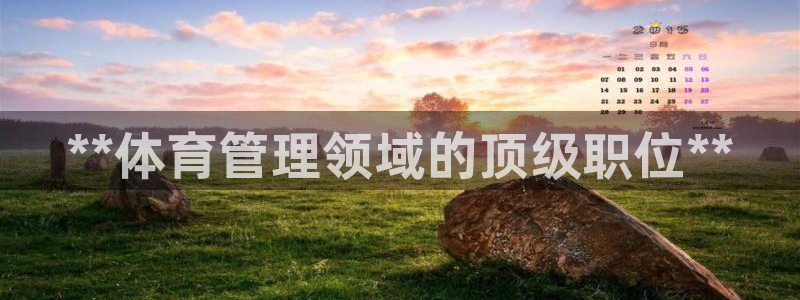 必一体育官方网站入口
