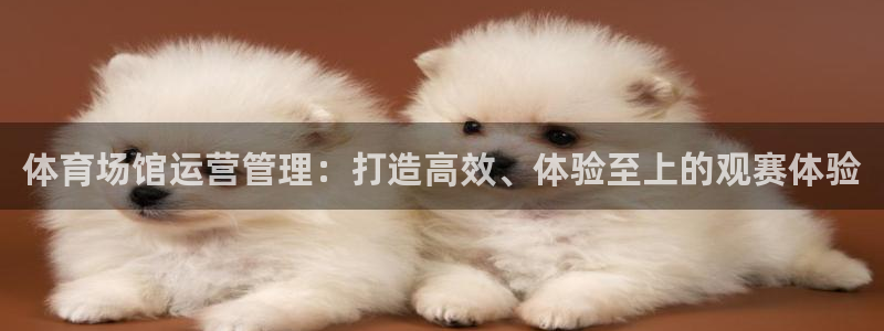 必一运动sport爱查股