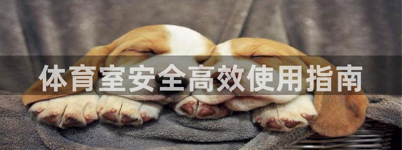 必一体育是啥