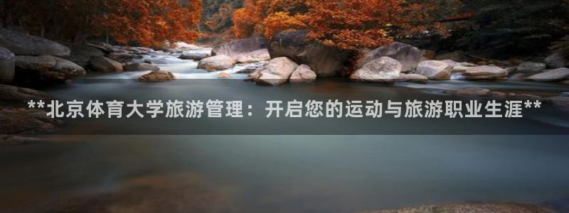 必一体育bsport