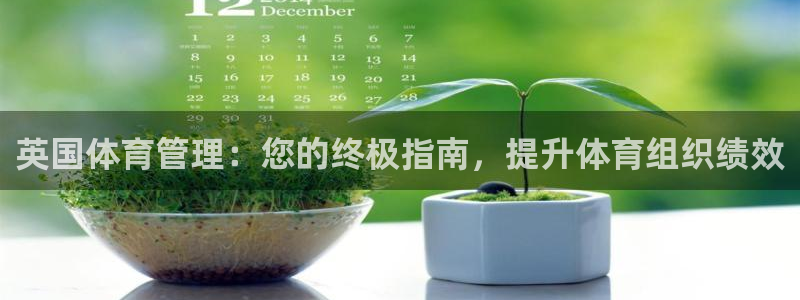 必一体育秀给网：英国