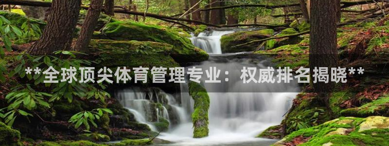 必一体育APP
