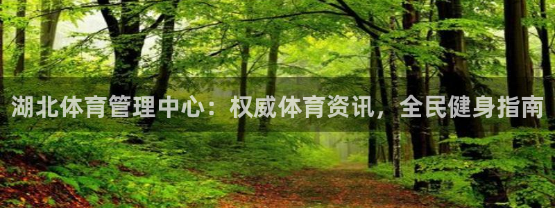 必一体育APP：湖北