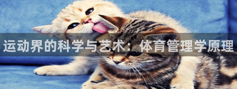 必一运动体育app