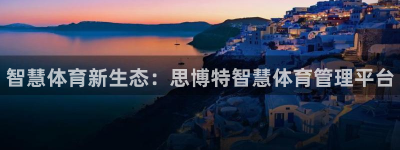 必一体育网页：智慧体