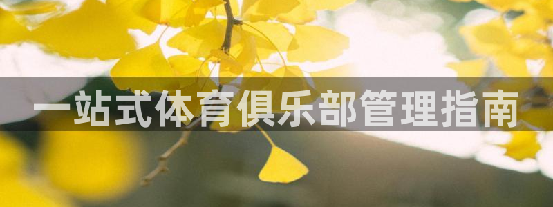 必一体育sport官网