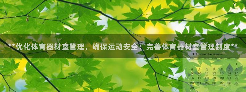 必一体育手机下载：*