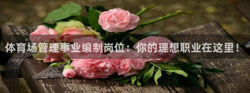 必一体育在线入口：体