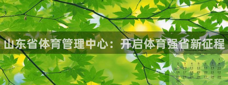 必一体育官方下载：山