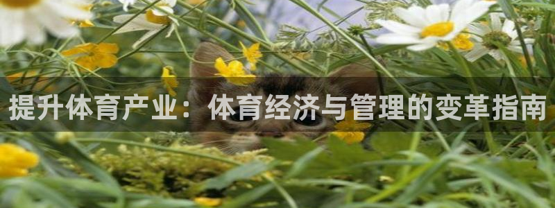 必一体育官方下载：提